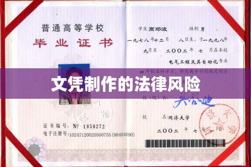 咸丰文凭制作的法律风险