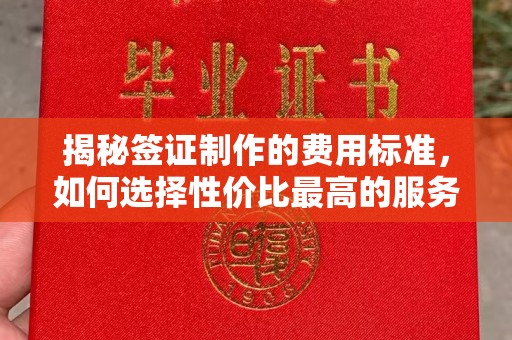 咸丰揭秘签证制作的费用标准，如何选择性价比最高的服务？