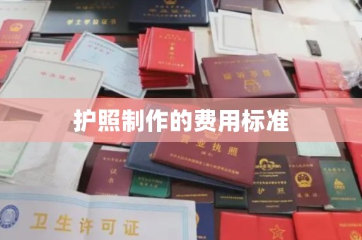 咸丰护照制作的费用标准
